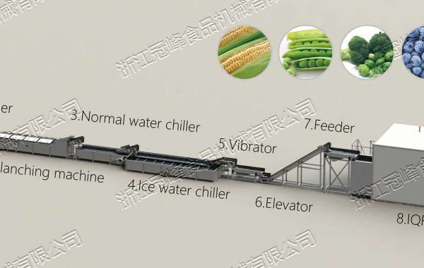 Dry Pump Control Process of Freeze Dry Machine