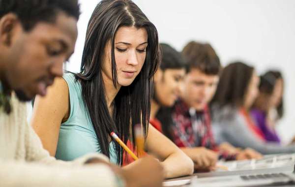 4 Amazing Techniques To Proofread Your Essay Like A Professional