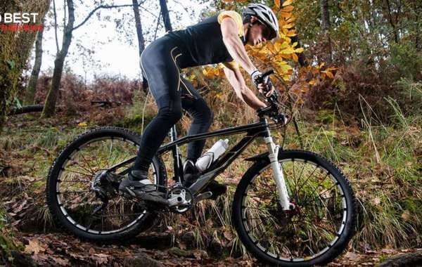 Mountain Bike Tips for Beginners: Everything You Need to Know