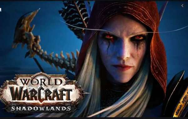 Blizzard hopes to get the full storyline from the expansion of World of Warcraft