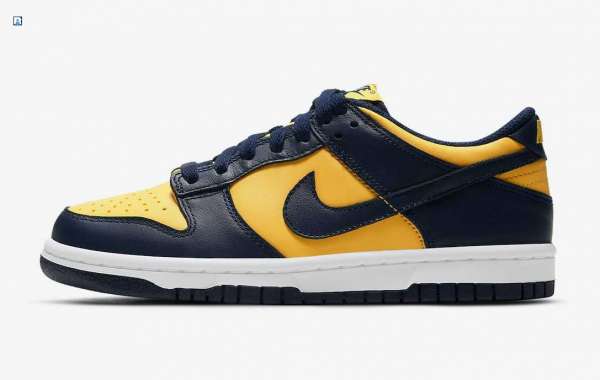 Nike Dunk Low “Michigan” 2021 New Arrival DD1391-700
