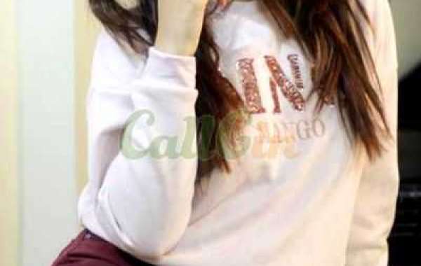 HI_Class Call Girls In Shastri Nagar 8447777795 High Profile Independent Female Escorts Service In Delhi Ncr