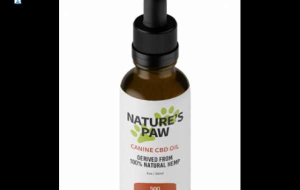Guide to use Nature's Paw Pet CBD Oil for the dog with osteoarthritis